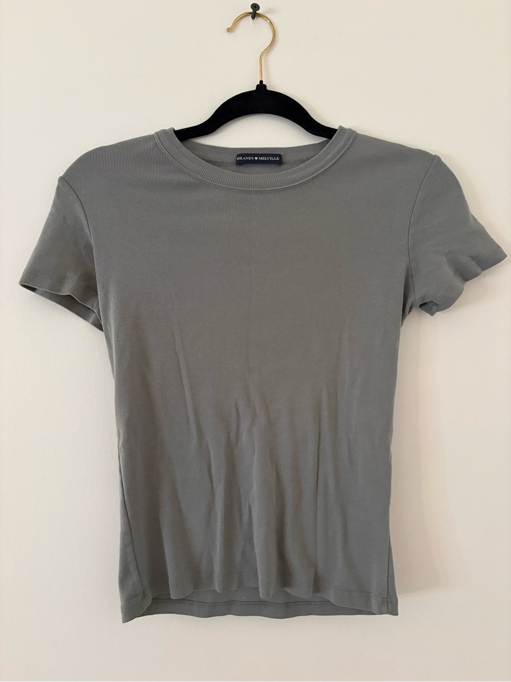 Brandy Melville Olive Gray Slim Crew Tee